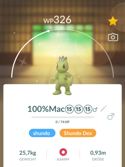 24 Stunden Shiny/Shundohunting